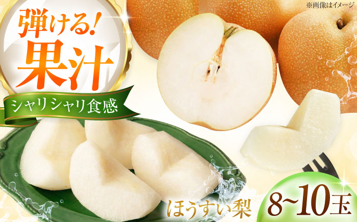 藤渕果樹園の豊水梨（ほうすいなし） 8〜10玉入り 〈2026年8月〜発送〉 ／ フルーツ 果物 くだもの 食品 人気 おすすめ 送料無料 梨 なし 豊水梨 季節のフルーツ 【株式会社内子フレッシュパークからり】 [BKAD063]