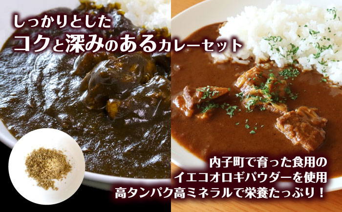 うちこおろぎスープカレー2個と定番コオロギ黒カレー2個セット／国産牛肉 タンパク質 食物繊維 鉄分 亜鉛 保存食 防災 内子町 四国 愛媛県 【株式会社ヒューネット風の谷うちこおろぎファーム】 [BKBN003]