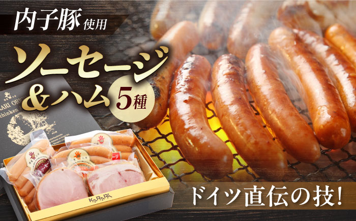 内子からり直送！ドイツ仕込み内子豚ハムソーセージセット1 ／ ソーセージ BBQ ハム 晩酌 大人気 おつまみ ギフト【株式会社内子フレッシュパークからり】 [BKAD002]