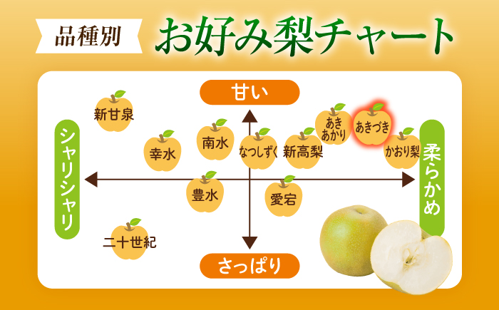 【先行予約】あきづき梨 5〜6玉入 〈2026年9月〜発送〉 ／ 梨 なし フルーツ 果物 くだもの 食品 人気 おすすめ 季節のフルーツ あきづき梨 /　株式会社内子フレッシュパークからり [BKAD115]