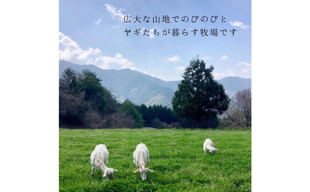 【2026年発送分 先行予約】 みんなのヤギミルクヨーグルト（無糖タイプ）3本セット