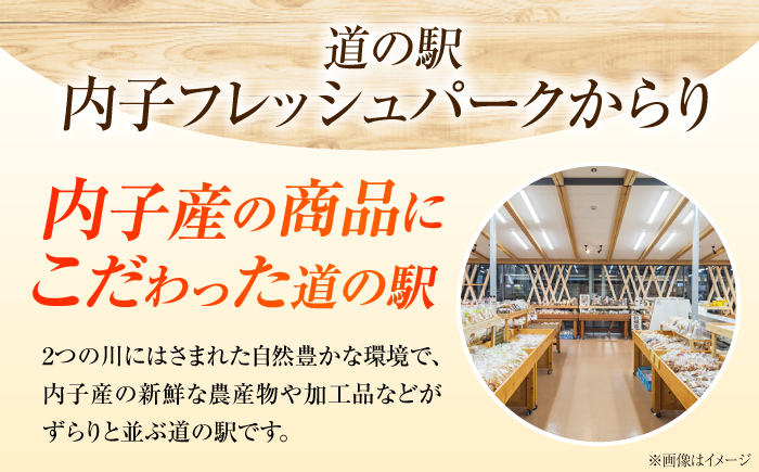 【先行予約】新高梨 （にいたかなし） 4〜6玉 〈2026年9月〜発送〉 ／ フルーツ 果物 くだもの 食品 人気 おすすめ 梨 なし 新高梨 にいたかなし 和梨 甘い 高糖度 ／　株式会社内子フレッシュパークからり [BKAD121]