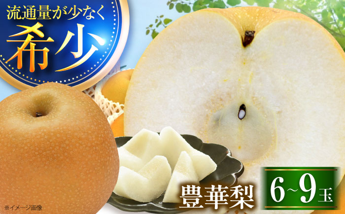 稲田ペアファームの豊華梨 （ゆたかなし） 6〜9玉 〈2026年9月〜発送〉 ／ フルーツ 果物 くだもの 食品 人気 おすすめ 梨 なし ゆたか 和梨 甘い 旬 ふるさと納税 【株式会社内子フレッシュパークからり】 [BKAD025]