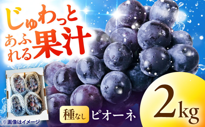種無しピオーネ2kg／ぶどう 種なし フルーツ くだもの 内子町【フルーツファームやまおか】 [BKCO001]