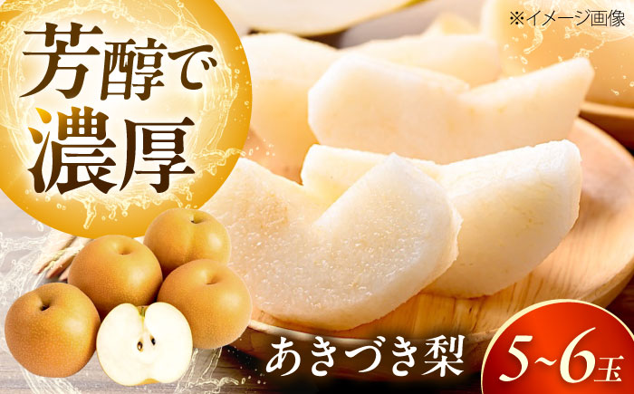 上岡果樹園のあきづき梨 5〜6玉入 〈2026年9月〜発送〉 ／ 梨 なし フルーツ 果物 くだもの 食品 人気 おすすめ 季節のフルーツ あきづき梨 【株式会社内子フレッシュパークからり】 [BKAD034]