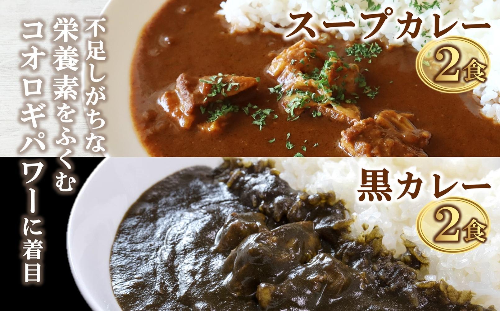 愛媛県喜多郡内子町産イエコオロギパウダー スープカレー スパイスカレー タンパク質 うちこおろぎスープカレー２個と定番コオロギ黒カレー２個セット