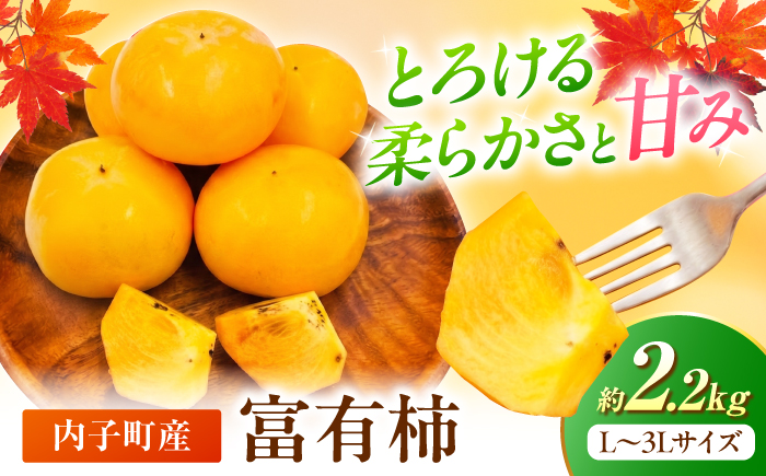 【先行予約】富有柿 2.2kg みきゃん箱【北海道・沖縄配送不可】 ／ 甘柿 柿 かき カキ 果物 フルーツ 国産 産地直送【株式会社フジ・アグリフーズ】BKAY018
