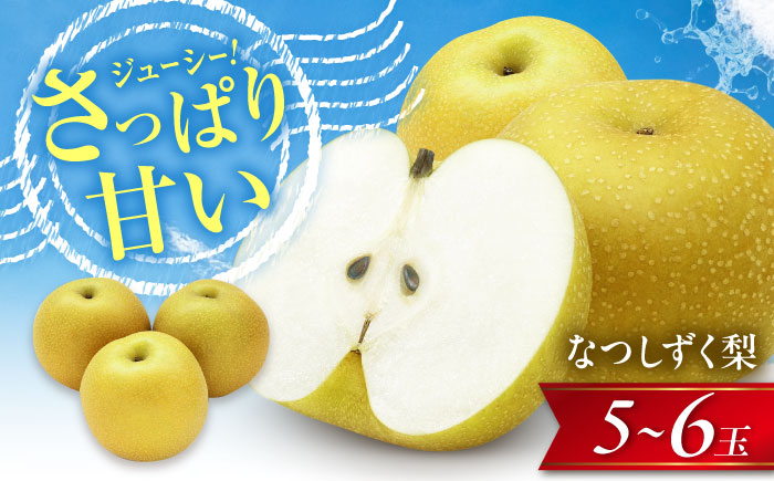 尾形農園のなつしずく梨 5〜6玉入り 〈2026年8月〜発送〉 ／ フルーツ 果物 くだもの 食品 人気 おすすめ 送料無料 梨 なし なつしずく梨 季節のフルーツ 【株式会社内子フレッシュパークからり】 [BKAD064]