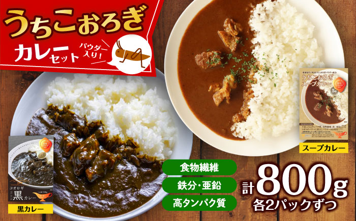 うちこおろぎスープカレー2個と定番コオロギ黒カレー2個セット／国産牛肉 タンパク質 食物繊維 鉄分 亜鉛 保存食 防災 内子町【株式会社ヒューネット風の谷うちこおろぎファーム】 [BKBN003]