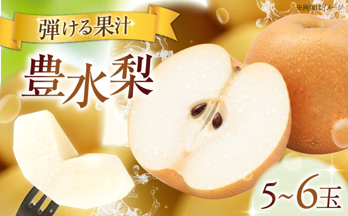 フルーツ松本の豊水梨(ほうすいなし) 5〜6玉入り 〈2026年9月〜発送〉 ／ フルーツ 果物 くだもの 食品 人気 おすすめ 送料無料 梨 なし 豊水梨 季節のフルーツ 【株式会社内子フレッシュパークからり】 [BKAD052]