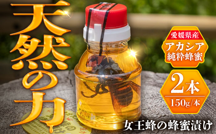 女王蜂の蜂蜜漬け（150g×2本）／はちみつ ハチミツ ハニー ジャム 内子町【ミカタスイッチ株式会社】 [BKBU001]