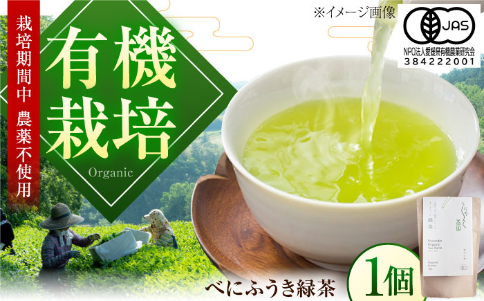 メチル化カテキンで話題 オーガニックのべにふうき緑茶 (85g×1個) ／ べにふうき 緑茶 花粉症 内子町 国産 【にのらく茶園】 [BKBR001]