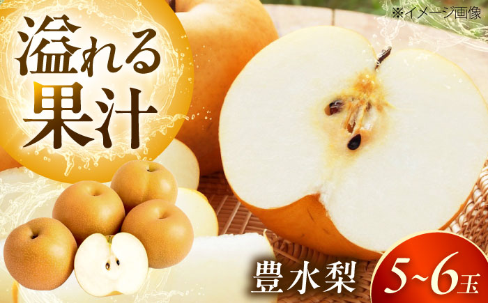 上岡果樹園の豊水梨（ほうすいなし） 5〜6玉入 〈2026年8月〜発送〉 ／ フルーツ 果物 くだもの 食品 人気 おすすめ 送料無料 梨 なし 豊水梨 ほうすいなし 【株式会社内子フレッシュパークからり】 [BKAD048]