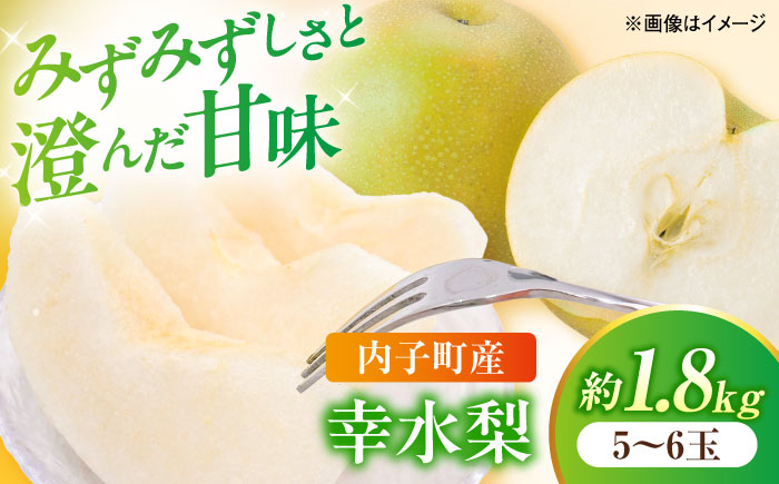 【先行予約】幸水梨【5〜6玉】＜2026年8月上旬から発送＞【北海道・沖縄配送不可】 ／ 梨 なし ナシ 和梨 果物 フルーツ 国産 産地直送【株式会社フジ・アグリフーズ】 [BKAY027]