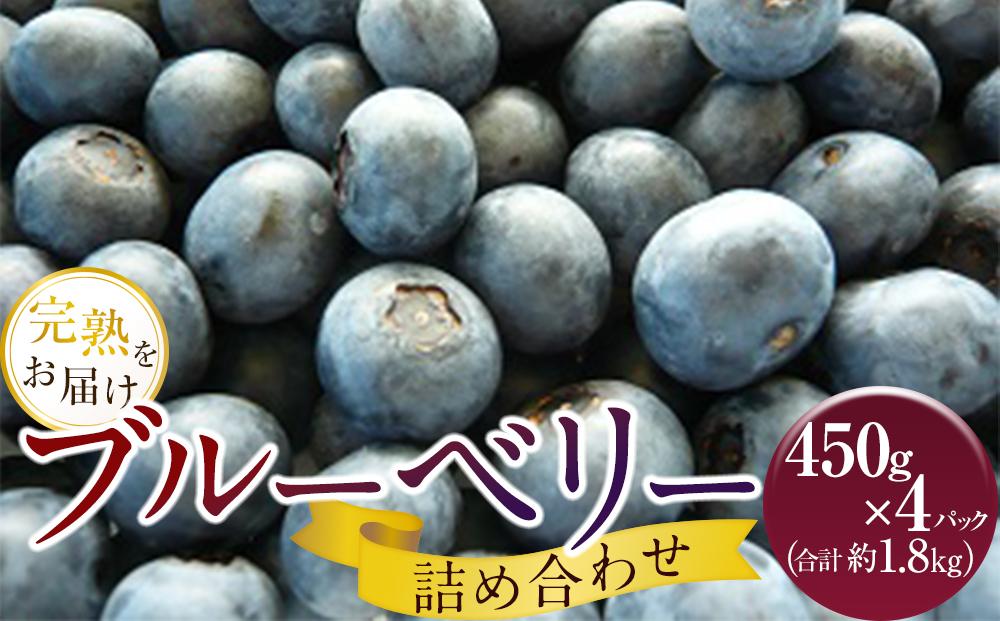 手摘みブルーベリー詰め合わせ（450g×4パック）＜2025年7月下旬より発送＞