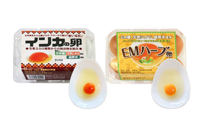 はじめての卵 食べ比べセット 6個×5種類(内割れ保証5個、各種1個づつ)／たまご 生卵 食べ比べ 詰め合わせ お試し 内子町 四国 愛媛県 【有限会社イヨエッグ】 [BKCB001]