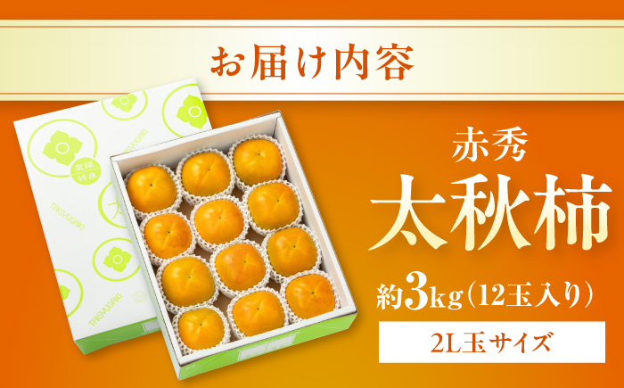 【先行予約】太秋柿 赤秀2Lサイズ約3kg（12玉入り）／ フルーツ 果物 くだもの かき 柿 内子町【愛媛たいき農業協同組合　果樹生産出荷協議会　柿部会】 [BKAL004]