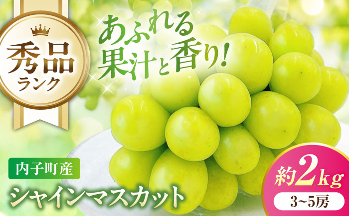 【先行予約】シャインマスカット 秀品 3〜5房 約2kg ＜2026年8月下旬〜発送開始＞ ／ シャインマスカット 大人気 愛媛県 美味しい 人気 皮ごと 葡萄 ブドウ 愛媛県産 内子町産 新鮮 旬 フルーツ 果物 くだもの【株式会社フジ・アグリフーズ】[BKAY005]
