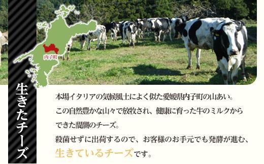 ナチュラルチーズ4種詰め合わせ（トミーノ/モッツァレラ/リコッタ/Uchiko180）