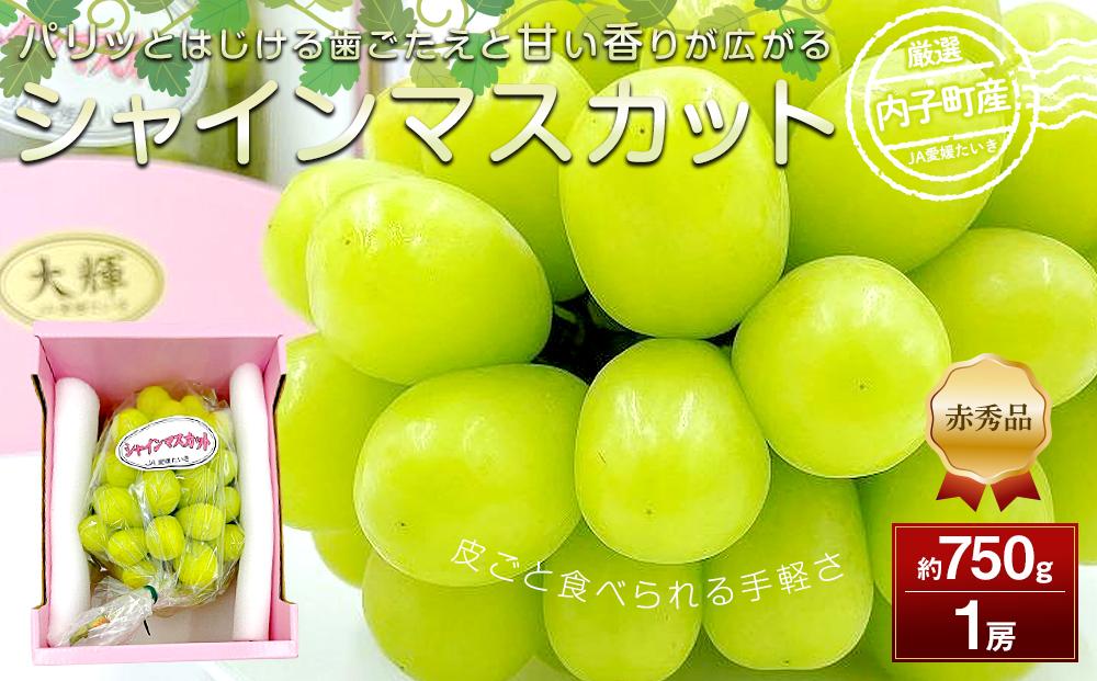 【先行予約】内子町産シャインマスカット 赤秀 1房入 750g以上 ★2025年8月下旬から発送★【北海道・沖縄配送不可】