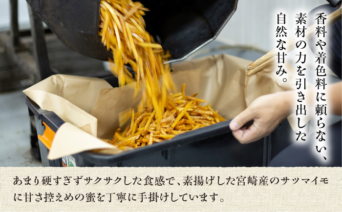 善蔵 芋けんぴ 3種セット ／ 芋けんぴ さつま芋 芋 菓子 おかし 黒ごま いよかん ゆず さつまいも 【宮栄商事有限会社】 [BKBM016]