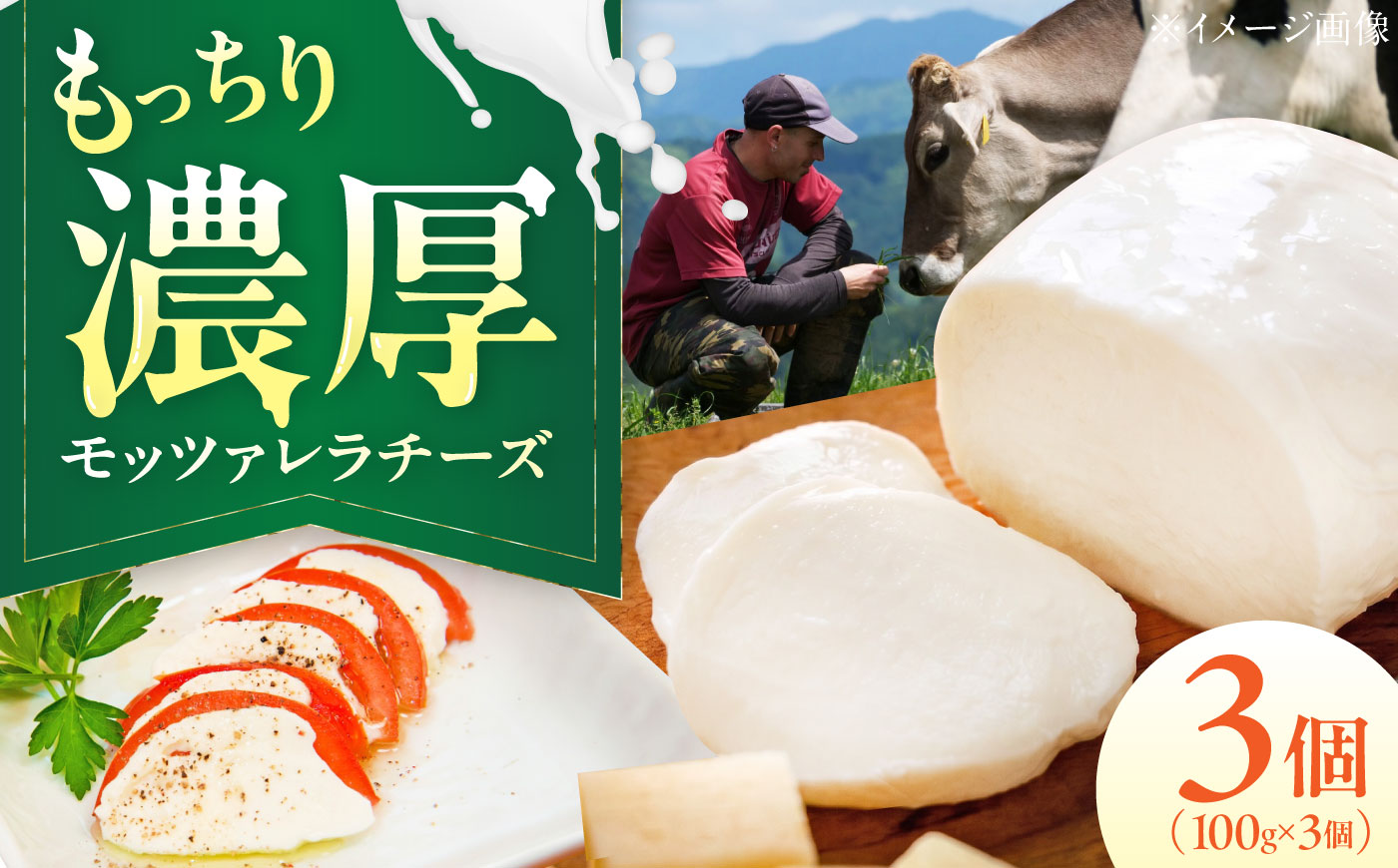 山地放牧酪農ミルクのモッツァレラチーズ 3個セット/チーズ モッツアレラチーズ 愛媛県 伝統製法 おつまみ 乳製品/株式会社醍醐 [BKAH007]