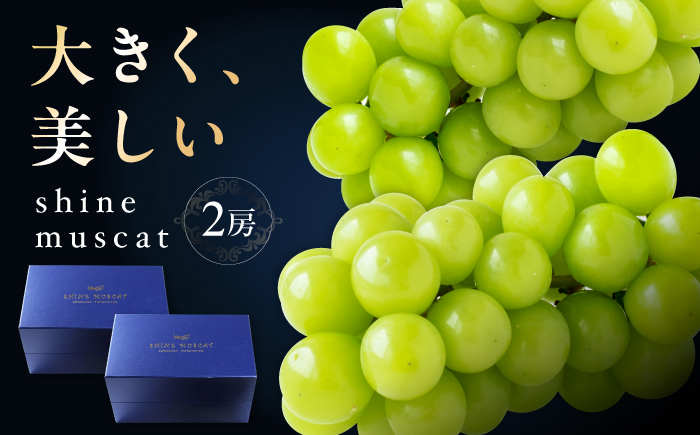 【先行予約】シャインマスカット2房 bloom leaf ／ フルーツ くだもの 果物 ぶどう ブドウ 葡萄 皮ごと マスカット ますかっと 四国 愛媛県 内子町 【ブルームリーフ合同会社】 [BKBI001]