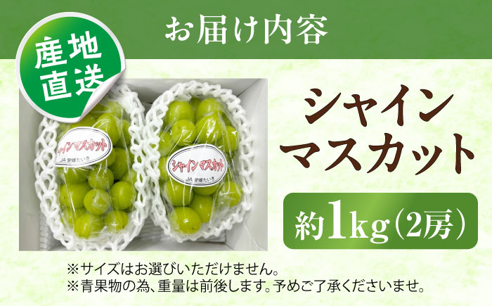 【先行予約】シャインマスカット 秀品 2房 約1kg ＜2026年8月下旬〜発送開始＞ ／ シャインマスカット 大人気 愛媛県 美味しい 人気 皮ごと 葡萄 ブドウ 愛媛県産 内子町産 新鮮 旬 フルーツ 果物 くだもの【株式会社フジ・アグリフーズ】[BKAY003]