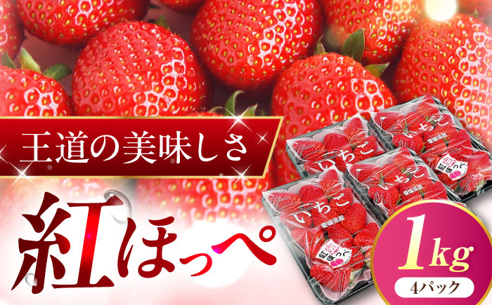 【先行予約】いちご 「紅ほっぺ」 4パック ／ イチゴ 苺 果物 フルーツ 国産 産地直送 愛媛県 内子町産【株式会社フジ・アグリフーズ】BKAY002