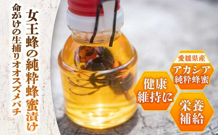 女王蜂の蜂蜜漬け（150g×2本）／はちみつ ハチミツ ハニー ジャム 内子町 四国 愛媛県 【ミカタスイッチ株式会社】 [BKBU001]