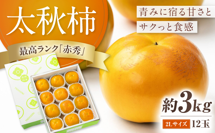 【先行予約】太秋柿 赤秀2Lサイズ約3kg（12玉入り）／ フルーツ 果物 くだもの かき 柿 内子町【愛媛たいき農業協同組合　果樹生産出荷協議会　柿部会】 [BKAL004]