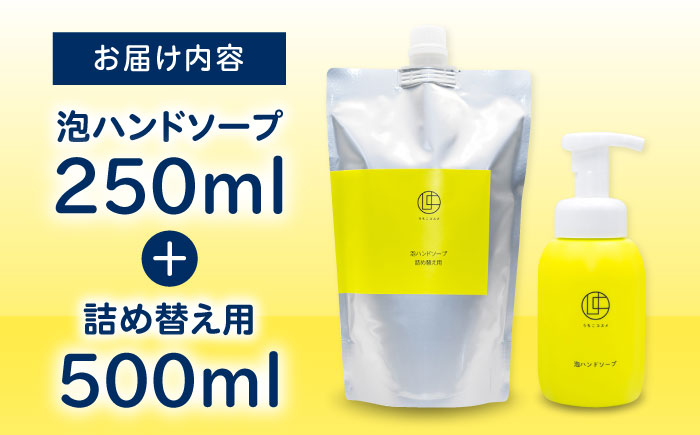うちこコスメ泡ハンドソープ 250ml＆詰め替え用500mlセット ／ スキンケア 洗浄 化粧品 コスメ 美容 日用品 手洗い ハンドソープ 愛媛県 内子町 四国 【昭和刷子株式会社】 [BKAZ002]