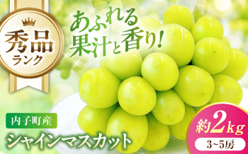 【先行予約】シャインマスカット 秀品 3〜5房 約2kg ＜2026年8月下旬〜発送開始＞ ／ シャインマスカット 大人気 愛媛県 美味しい 人気 皮ごと 葡萄 ブドウ 愛媛県産 内子町産 新鮮 旬 フルーツ 果物 くだもの 四国 【株式会社フジ・アグリフーズ】[BKAY005]
