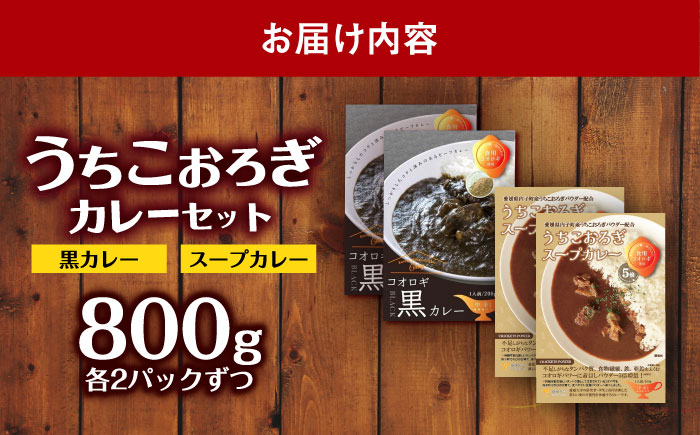 うちこおろぎスープカレー2個と定番コオロギ黒カレー2個セット／国産牛肉 タンパク質 食物繊維 鉄分 亜鉛 保存食 防災 内子町 四国 愛媛県 【株式会社ヒューネット風の谷うちこおろぎファーム】 [BKBN003]