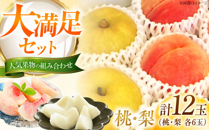 【先行予約】 藤渕果樹園の桃・梨セット 各6玉 〈2026年8月〜発送〉 ／ 桃 もも 梨 なし フルーツ 果物 くだもの 季節のフルーツ 【株式会社内子フレッシュパークからり】 [BKAD077]