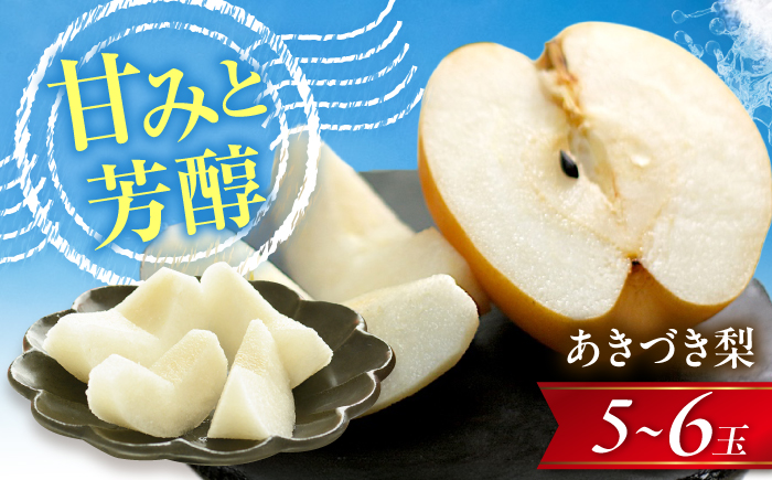 あきづき梨 5～6玉入 〈2026年9月～発送〉 ／ 梨 なし フルーツ 果物 くだもの 食品 人気 おすすめ 季節のフルーツ あきづき梨 /　株式会社内子フレッシュパークからり [BKAD115]