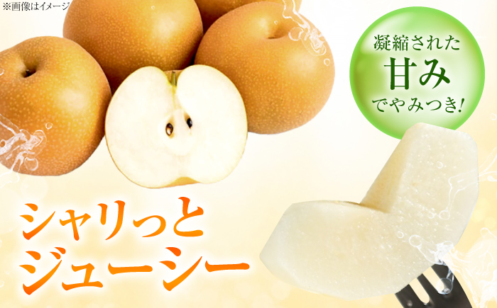 【先行予約】新高梨 （にいたかなし） 4〜6玉 〈2026年9月〜発送〉 ／ フルーツ 果物 くだもの 食品 人気 おすすめ 梨 なし 新高梨 にいたかなし 和梨 甘い 高糖度 ／　株式会社内子フレッシュパークからり [BKAD121]