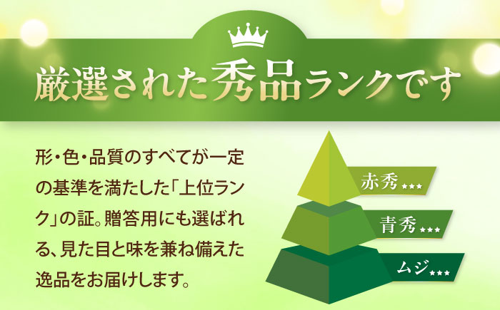 【先行予約】シャインマスカット 秀品 3〜5房 約2kg ＜2026年8月下旬〜発送開始＞ ／ シャインマスカット 大人気 愛媛県 美味しい 人気 皮ごと 葡萄 ブドウ 愛媛県産 内子町産 新鮮 旬 フルーツ 果物 くだもの【株式会社フジ・アグリフーズ】[BKAY005]