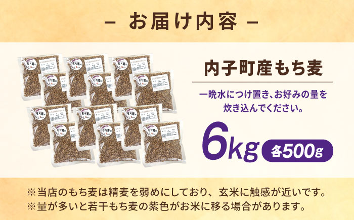 内子町産もち麦6kg ／ 国産 雑穀米 もち麦 ごはん おすすめ 送料無料 米 四国 愛媛県 【株式会社内子フレッシュパークからり】 [BKAD013]