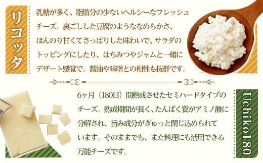 ナチュラルチーズ4種詰め合わせ（トミーノ/モッツァレラ/リコッタ/Uchiko180）