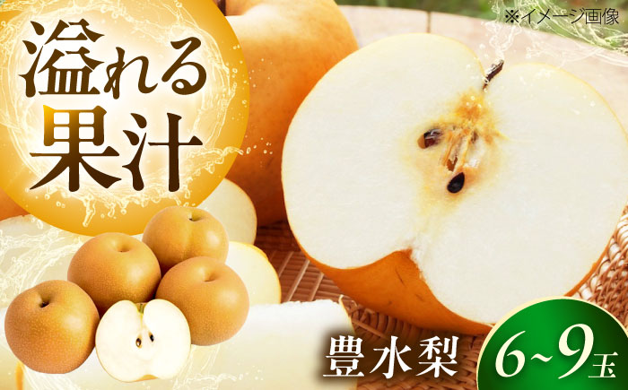 上岡果樹園の豊水梨（ほうすいなし） 6〜9玉入 〈2026年8月〜発送〉 ／ フルーツ 果物 くだもの 食品 人気 おすすめ 送料無料 梨 なし 果実 豊水梨 ほうすいなし 【株式会社内子フレッシュパークからり】 [BKAD049]