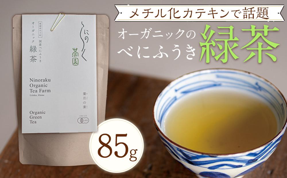 メチル化カテキンで話題　オーガニックのべにふうき緑茶（85g×1個）