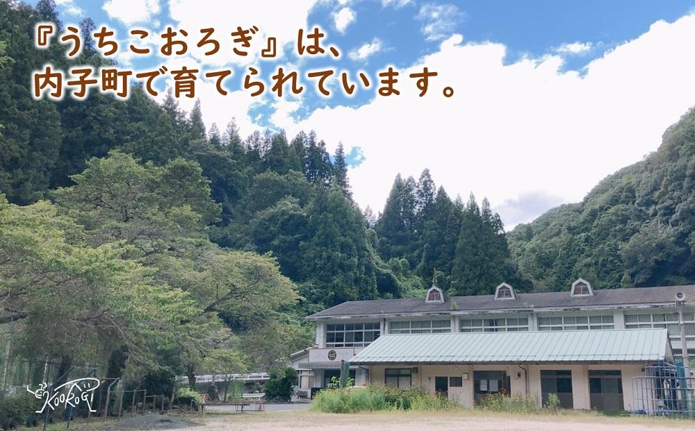 愛媛県内子町産イエコオロギパウダー ビーフカレー スパイスカレー タンパク質 コオロギ黒カレー4個セット