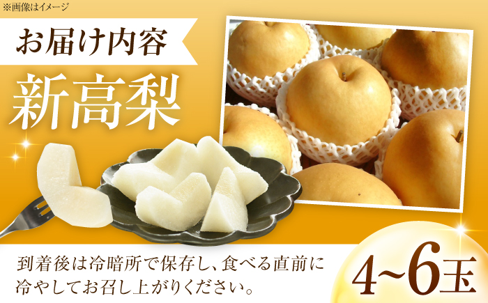 【先行予約】新高梨 （にいたかなし） 4〜6玉 〈2026年9月〜発送〉 ／ フルーツ 果物 くだもの 食品 人気 おすすめ 梨 なし 新高梨 にいたかなし 和梨 甘い 高糖度 ／　株式会社内子フレッシュパークからり [BKAD121]