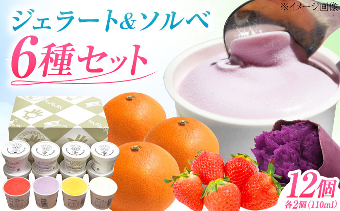 ジェラート&ソルベ 12個 ／ ジェラート じぇらーと アイス あいす ソルベ お菓子 菓子 おかし スイーツ デザート 愛媛県 内子町 【株式会社内子フレッシュパークからり】 [BKAD090]