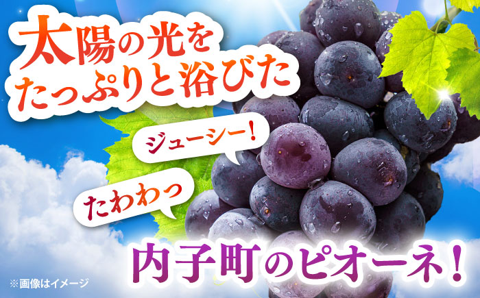 【先行予約】種無しピオーネ2kg／ぶどう 種なし フルーツ くだもの 内子町 四国 愛媛県 【フルーツファームやまおか】 [BKCO001]