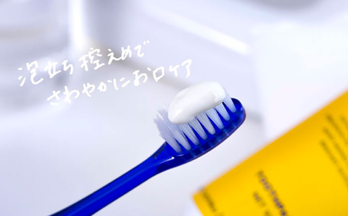 ロブラングギフトセットA／ デンタルケア オーラルケア 口腔ケア 口腔衛生ケア プレゼント ギフト 日用品 内子町 四国 愛媛県 【昭和刷子株式会社】 [BKAZ006]