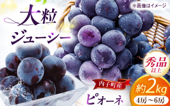 【先行予約】ピオーネ 秀品 4〜6房 2kg ＜2025年8月下旬から発送＞【北海道・沖縄配送不可】 ／ ブドウ 美味しい ぶどう ピオーネ 大人気 葡萄 愛媛県 葡萄 新鮮 旬 フルーツ 果物 食品 葡萄 新鮮 四国 内子町 【株式会社フジ・アグリフーズ】 [BKAY010]