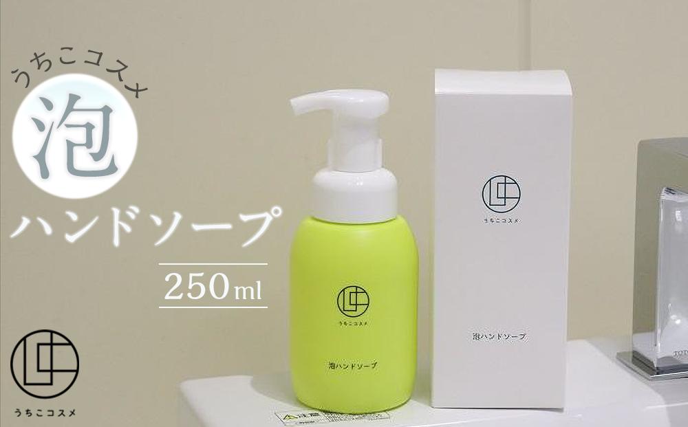 うちこコスメ泡ハンドソープ　250ｍｌ