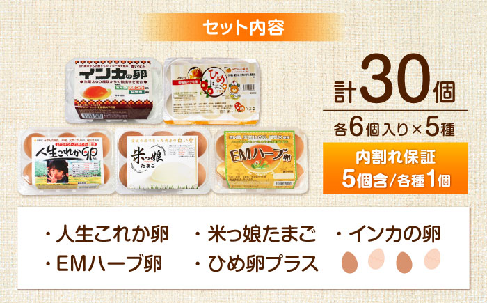 はじめての卵 食べ比べセット 6個×5種類(内割れ保証5個、各種1個づつ)／たまご 生卵 食べ比べ 詰め合わせ お試し 内子町 四国 愛媛県 【有限会社イヨエッグ】 [BKCB001]